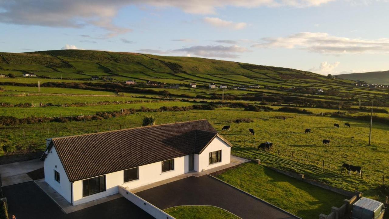 Dingle Way Snug, Luxury Apartment Esterno foto